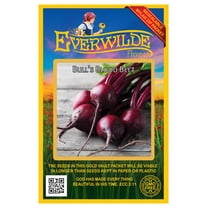 Everwilde Farms - 200 Bulls Blood Beet Seeds - Gold Vault Jumbo Bulk Seed Packet