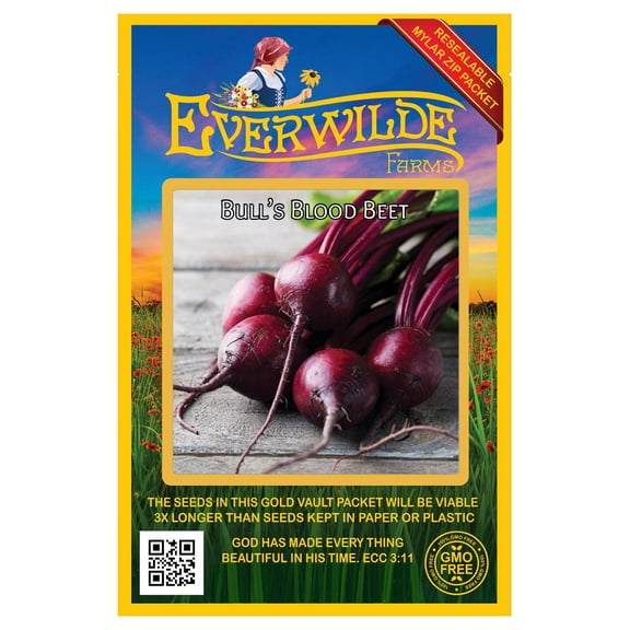Everwilde Farms - 200 Bulls Blood Beet Seeds - Gold Vault Jumbo Bulk Seed Packet