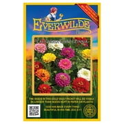 Everwilde Farms - 200 California Giants Mixed Zinnia Garden Flower Seeds - Gold Vault Jumbo Bulk Seed Packet