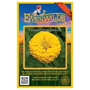 Everwilde Farms - 200 Canary Bird Zinnia Garden Flower Seeds - Gold Vault Jumbo Bulk Seed Packet