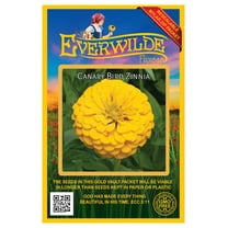 Everwilde Farms - 200 Canary Bird Zinnia Garden Flower Seeds - Gold Vault Jumbo Bulk Seed Packet