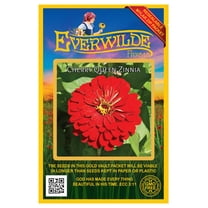 Everwilde Farms - 200 Cherry Queen Zinnia Garden Flower Seeds - Gold Vault Jumbo Bulk Seed Packet