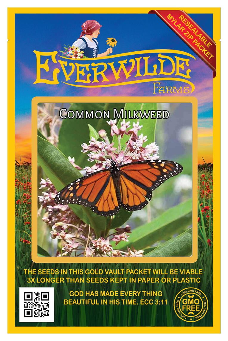 Everwilde Farms - 300 Common Milkweed Seeds, Gold Vault Bulk Packet ...