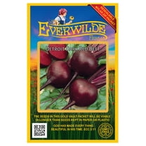 Everwilde Farms - 200 Detroit Dark Red Beet Seeds - Gold Vault Jumbo Bulk Seed Packet