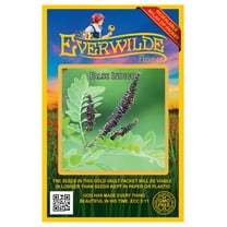 Everwilde Farms - 200 False Indigo Native Wildflower Seeds - Gold Vault Jumbo Bulk Seed Packet