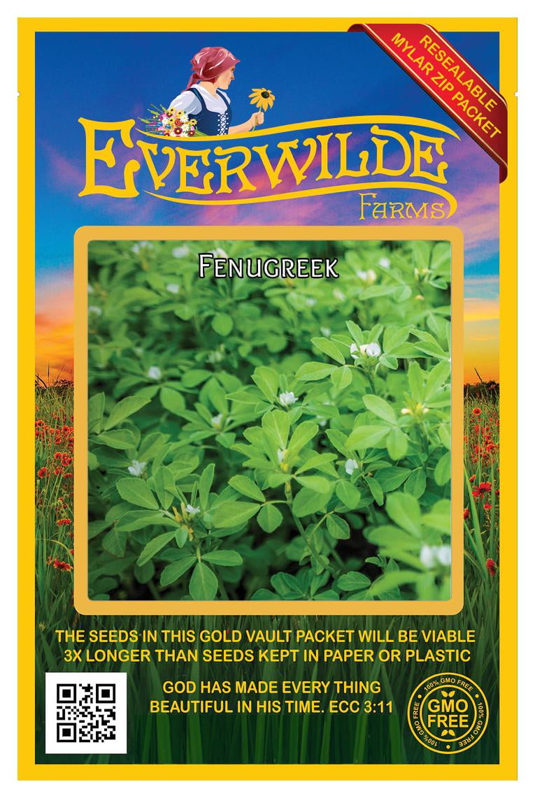 Everwilde Farms 200 Fenugreek Herb Seeds Gold Vault Jumbo Bulk Seed