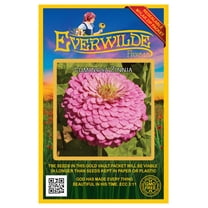 Everwilde Farms - 200 Luminosa Zinnia Garden Flower Seeds - Gold Vault Jumbo Bulk Seed Packet