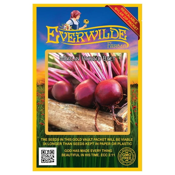 Everwilde Farms - 200 Merlin Beet Seeds - Gold Vault Jumbo Bulk Seed Packet