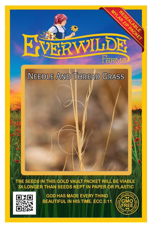 - 200 Needle And Thread Grass Native Grass Seeds - Gold Vault Jumbo Bulk Seed Packet