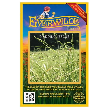 Everwilde Farms - 200 Nodding Fescue Native Grass Seeds - Gold Vault Seed Packet