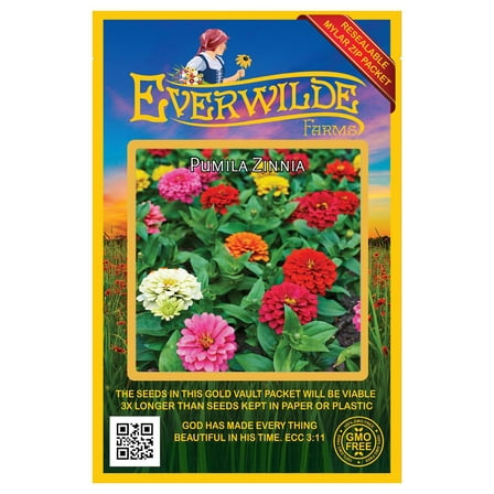 Everwilde Farms - 200 Pumila Mixed Zinnia Garden Flower Seeds - Gold Vault Jumbo Bulk Seed Packet
