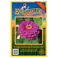 thumbnail image 1 of Everwilde Farms - 200 Purple Prince Zinnia Garden Flower Seeds - Gold Vault Jumbo Bulk Seed Packet, 1 of 5