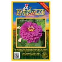 Everwilde Farms - 200 Purple Prince Zinnia Garden Flower Seeds - Gold Vault Jumbo Bulk Seed Packet