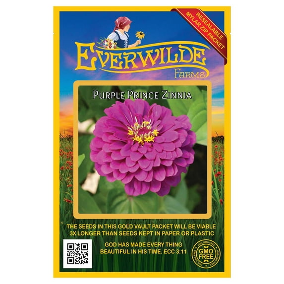 Everwilde Farms - 200 Purple Prince Zinnia Garden Flower Seeds - Gold Vault Jumbo Bulk Seed Packet