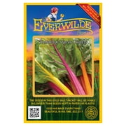 Everwilde Farms - 200 Rainbow Swiss Chard Seeds - Gold Vault Jumbo Bulk Seed Packet