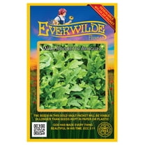 Everwilde Farms - 200 Roquette Arugula Herb Seeds - Gold Vault Seed Packet