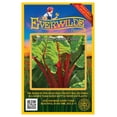 thumbnail image 1 of Everwilde Farms - 200 Ruby Red Swiss Chard Seeds - Gold Vault Jumbo Bulk Seed Packet, 1 of 5
