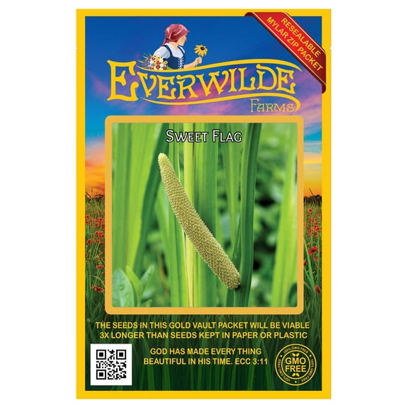 Everwilde Farms - 200 Sweet Flag Native Wildflower Seeds - Gold Vault Seed Packet