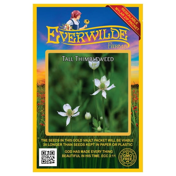 Everwilde Farms - 200 Tall Thimbleweed Native Wildflower Seeds - Gold Vault Seed Packet