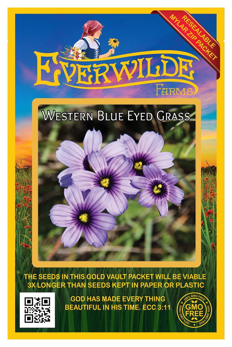 Everwilde Farms - 200 Western Blue Eyed Grass Native Wildflower Seeds -  Gold Vault Jumbo Bulk Seed Packet - Walmart.com
