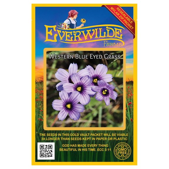 Everwilde Farms - 200 Western Blue Eyed Grass Native Wildflower Seeds - Gold Vault Jumbo Bulk Seed Packet