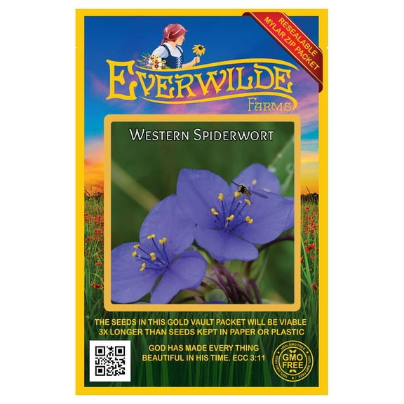 Everwilde Farms - 200 Prairie Spiderwort Native Wildflower Seeds - Gold Vault Seed Packet