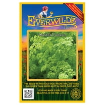 Everwilde Farms - 200 Winter Chervil Herb Seeds - Gold Vault Jumbo Bulk Seed Packet