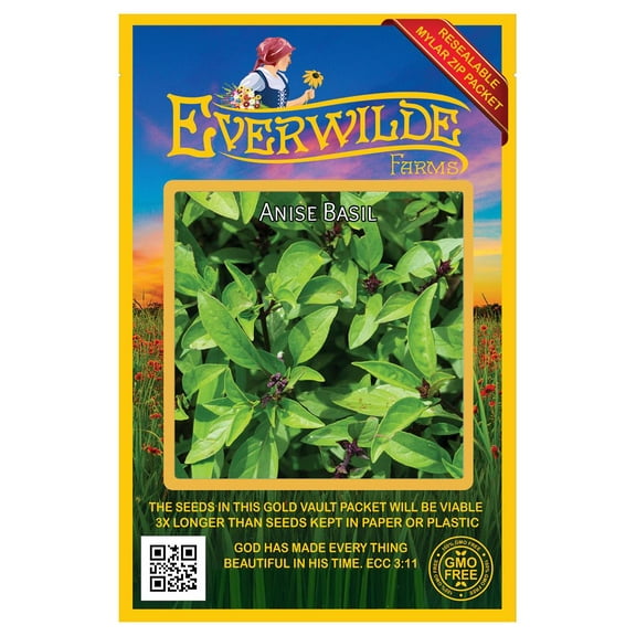 Everwilde Farms - 2000 Anise Basil Herb Seeds - Gold Vault Jumbo Bulk Seed Packet
