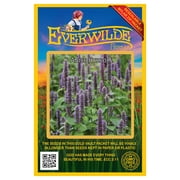 Everwilde Farms - 2000 Anise Hyssop Native Wildflower Seeds - Gold Vault Jumbo Bulk Seed Packet