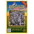 thumbnail image 1 of Everwilde Farms - 2000 Arrow-leaved Aster Native Wildflower Seeds - Gold Vault Seed Packet, 1 of 4