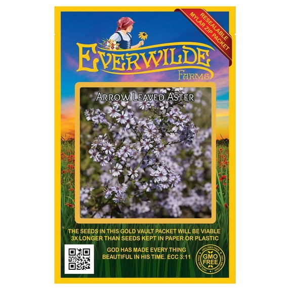 Everwilde Farms - 2000 Arrow-leaved Aster Native Wildflower Seeds - Gold Vault Seed Packet