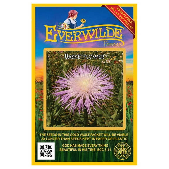 Everwilde Farms - 200 Basketflower Native Wildflower Seeds - Gold Vault Jumbo Bulk Seed Packet