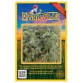 thumbnail image 1 of Everwilde Farms - 2000 Beach Wormwood Native Wildflower Seeds - Gold Vault Seed Packet, 1 of 3
