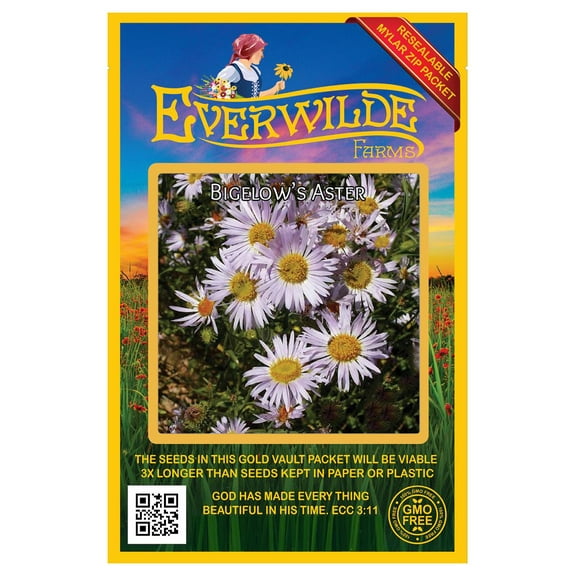 Everwilde Farms - 2000 Bigelow's Aster Native Wildflower Seeds - Gold Vault Seed Packet