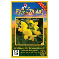 Everwilde Farms - 2000 Birds Foot Trefoil Garden Flower Seeds - Gold Vault Jumbo Bulk Seed Packet