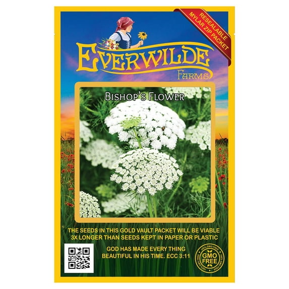 Everwilde Farms - 2000 Bishops Flower Garden Flower Seeds - Gold Vault Jumbo Bulk Seed Packet