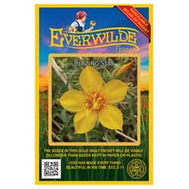 Everwilde Farms - 2000 Blazing Star Native Wildflower Seeds - Gold Vault Jumbo Bulk Seed Packet