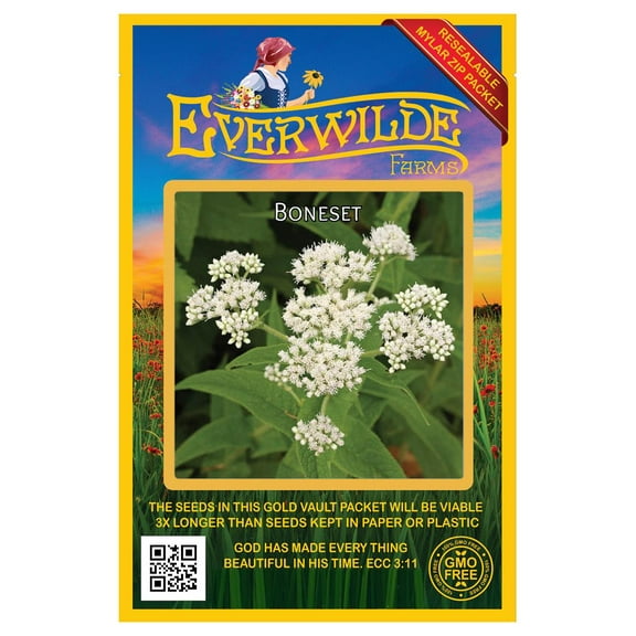 Everwilde Farms - 2000 Boneset Native Wildflower Seeds - Gold Vault Seed Packet