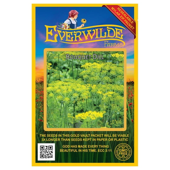 Everwilde Farms - 2000 Bouquet Dill Herb Seeds - Gold Vault Jumbo Bulk Seed Packet