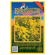 Everwilde Farms - 2000 Canada Goldenrod Native Wildflower Seeds - Gold Vault Jumbo Bulk Seed Packet
