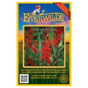 Everwilde Farms - 2000 Cardinal Flower Native Wildflower Seeds - Gold Vault Seed Packet