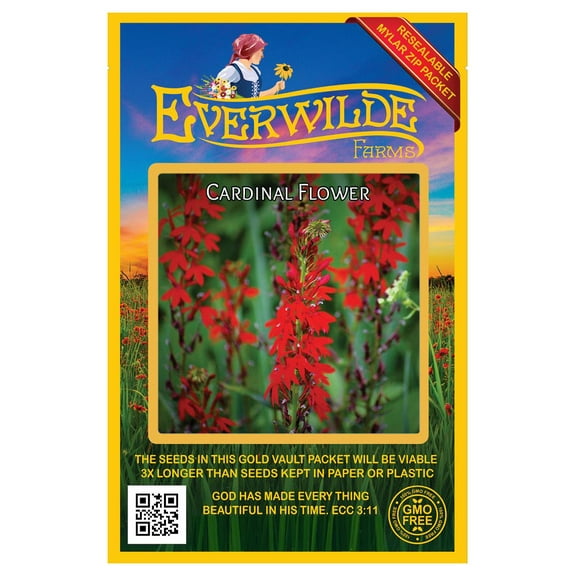 Everwilde Farms - 2000 Cardinal Flower Native Wildflower Seeds - Gold Vault Seed Packet
