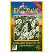 Everwilde Farms - 2000 Carpet of Snow Sweet Alyssum Garden Flower Seeds - Gold Vault Jumbo Bulk Seed Packet