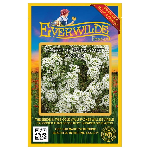 Everwilde Farms - 2000 Carpet of Snow Sweet Alyssum Garden Flower Seeds - Gold Vault Jumbo Bulk Seed Packet