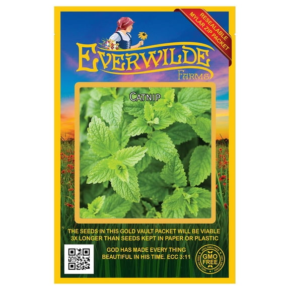 Everwilde Farms - 2000 Catnip Herb Seeds - Gold Vault Jumbo Bulk Seed Packet