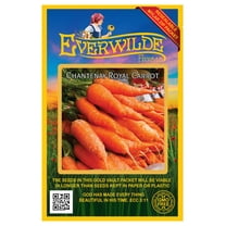 Everwilde Farms - 2000 Chantenay Royal Carrot Seeds - Gold Vault Jumbo Bulk Seed Packet