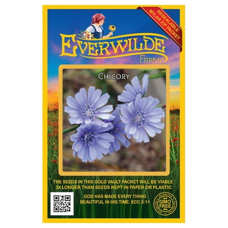Everwilde Farms - 2000 Chicory Garden Flower Seeds - Gold Vault Jumbo Bulk Seed Packet