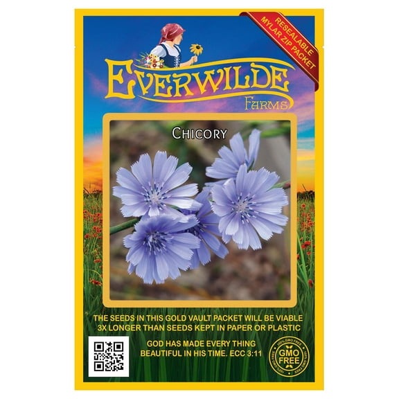 Everwilde Farms - 2000 Chicory Garden Flower Seeds - Gold Vault Jumbo Bulk Seed Packet