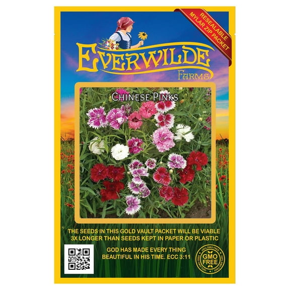Everwilde Farms - 2000 Chinese Pinks Garden Flower Seeds - Gold Vault Jumbo Bulk Seed Packet