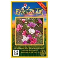 Everwilde Farms - 2000 Clarkia Native Wildflower Seeds - Gold Vault Seed Packet